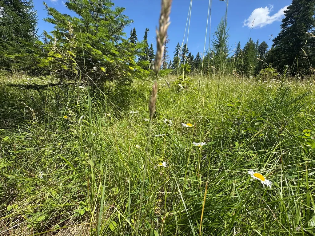13643 Sundance Trail Bigfork MT 59911