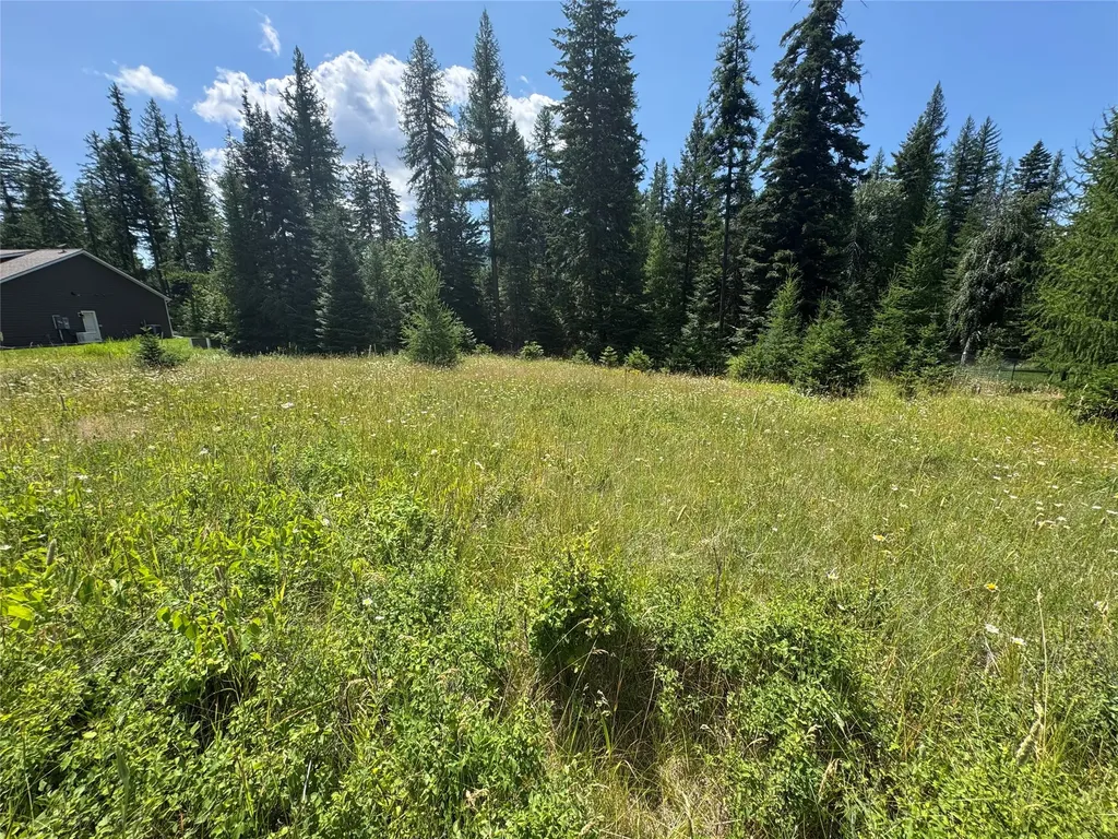 13643 Sundance Trail Bigfork MT 59911