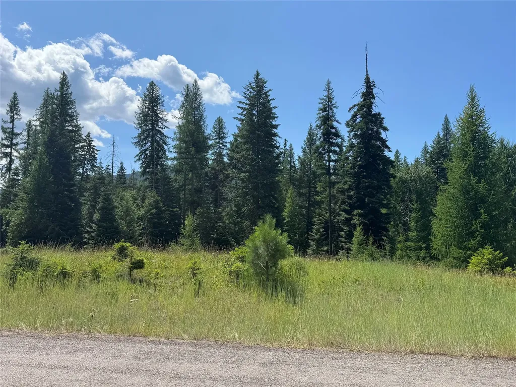 13643 Sundance Trail Bigfork MT 59911