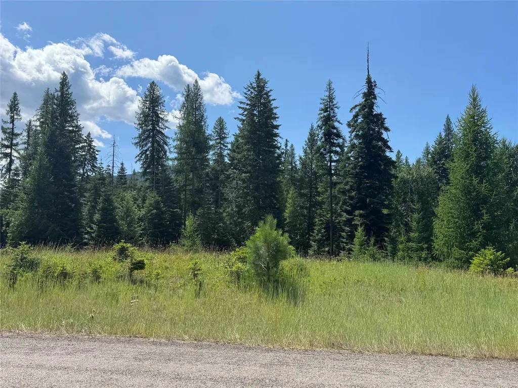 13643 Sundance Trail Bigfork MT 59911