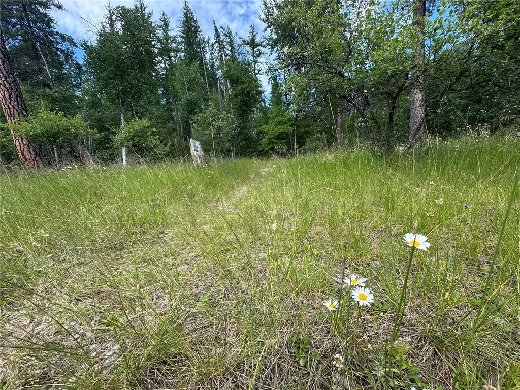 13643 Sundance Trail Bigfork MT 59911