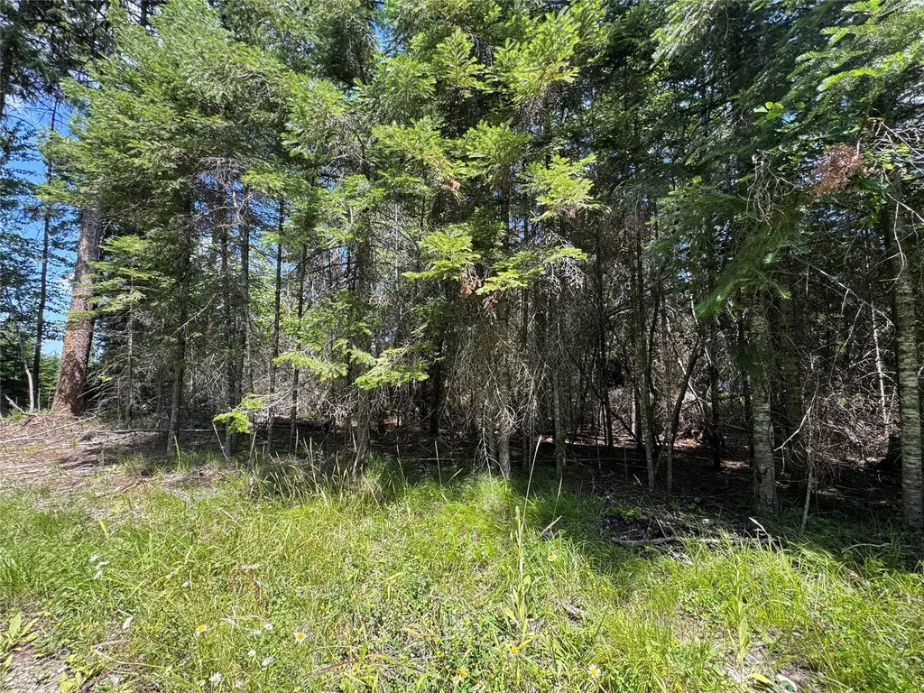 13643 Sundance Trail Bigfork MT 59911