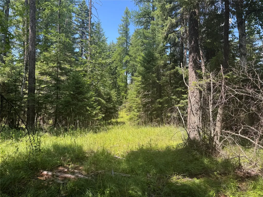 13643 Sundance Trail Bigfork MT 59911