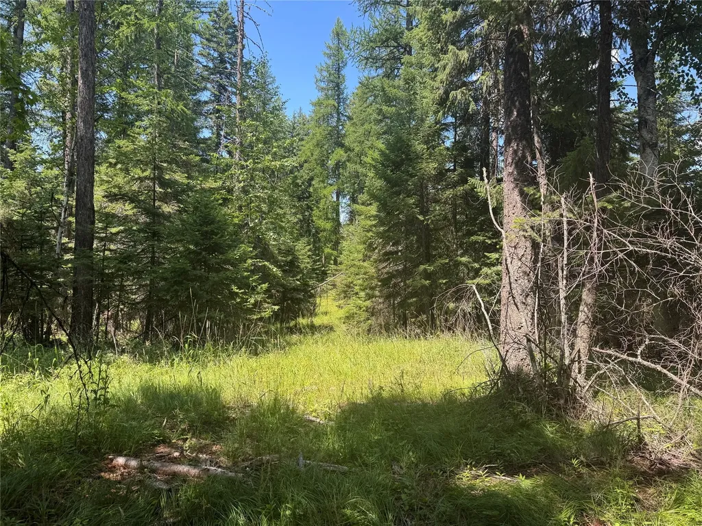 13643 Sundance Trail Bigfork MT 59911
