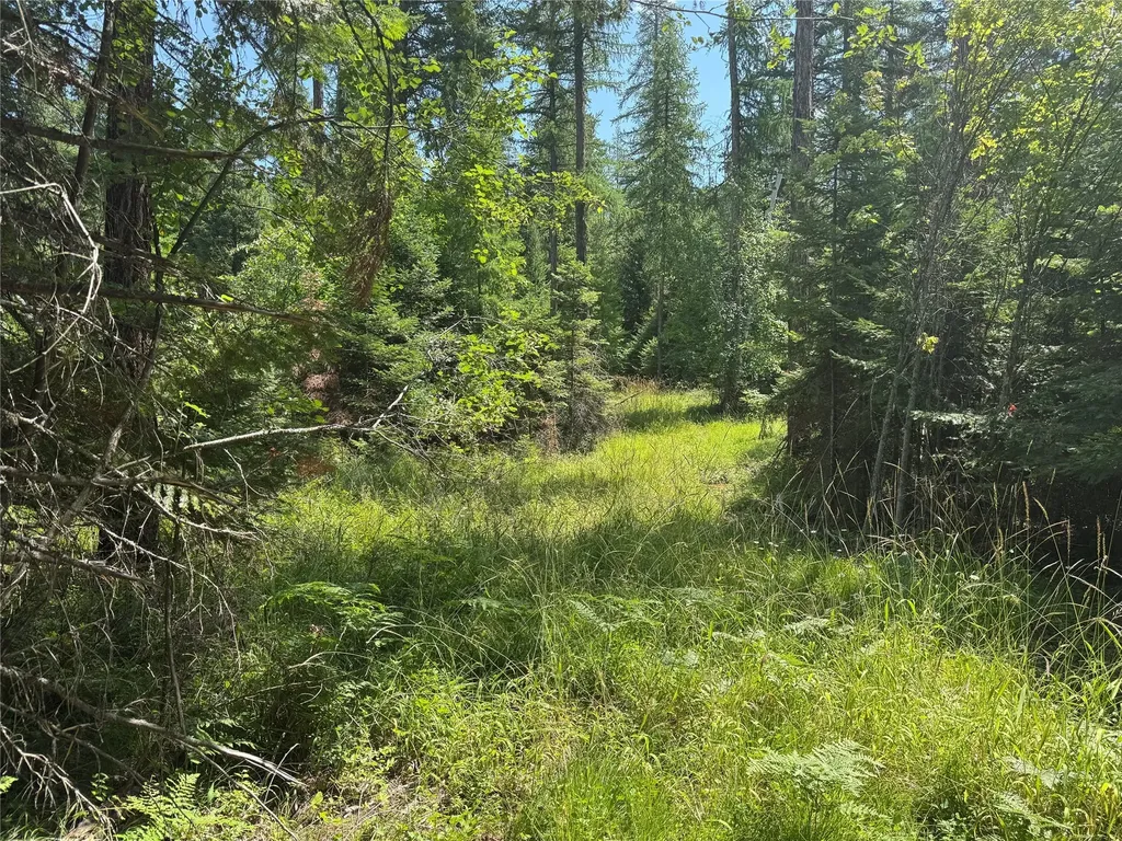 13643 Sundance Trail Bigfork MT 59911