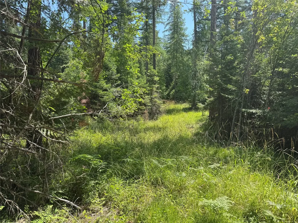 13643 Sundance Trail Bigfork MT 59911