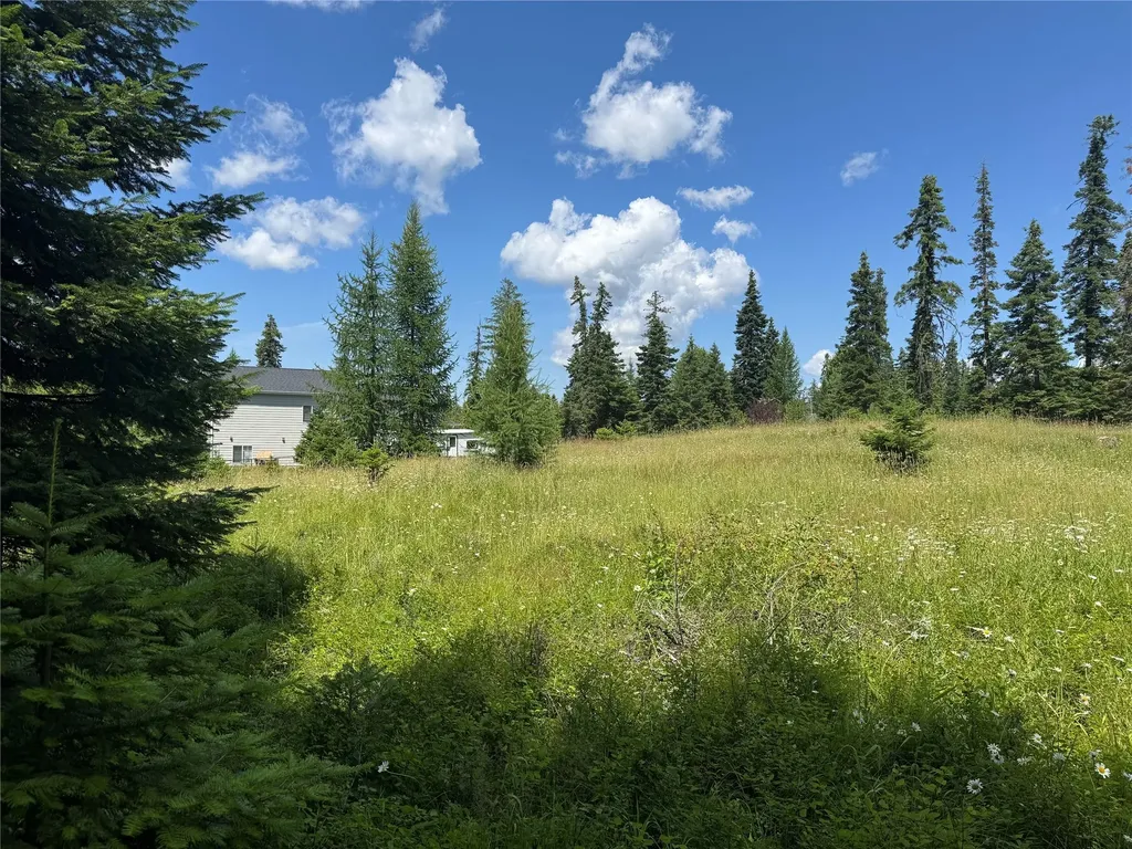13643 Sundance Trail Bigfork MT 59911