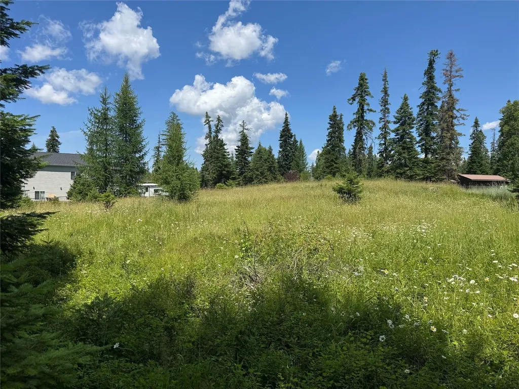 13643 Sundance Trail Bigfork MT 59911