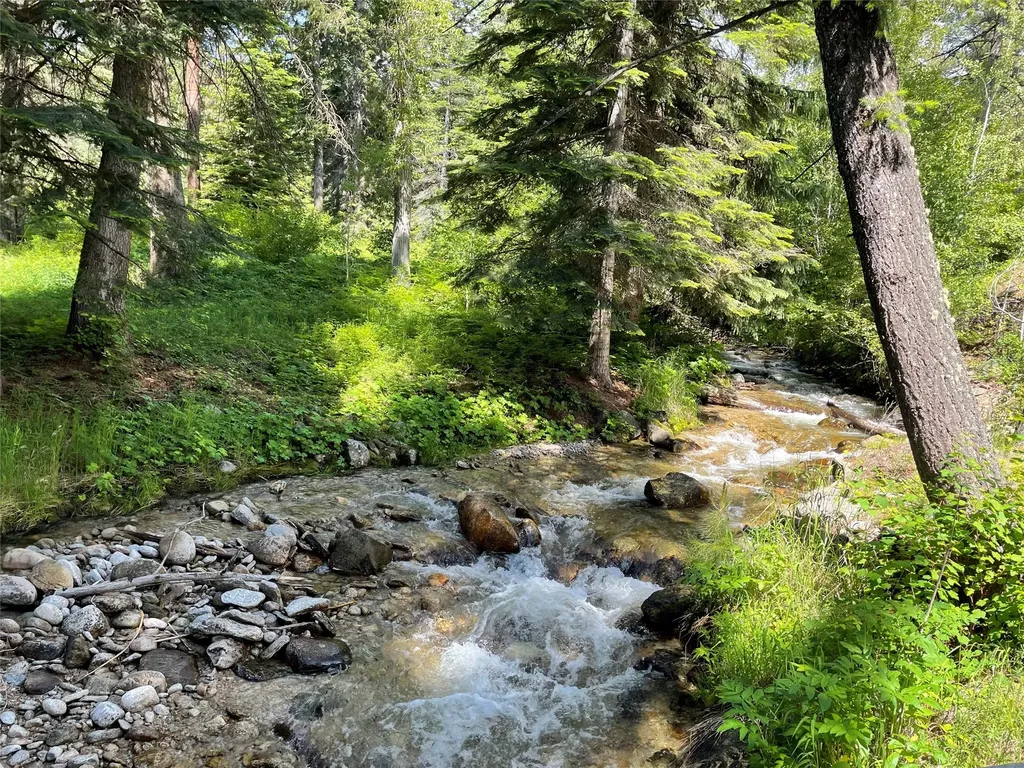 560 Hayes Creek Road Hamilton MT 59840