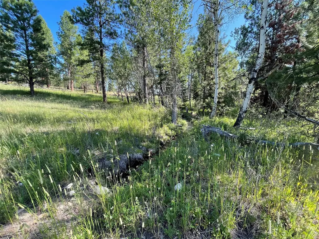 560 Hayes Creek Road Hamilton MT 59840