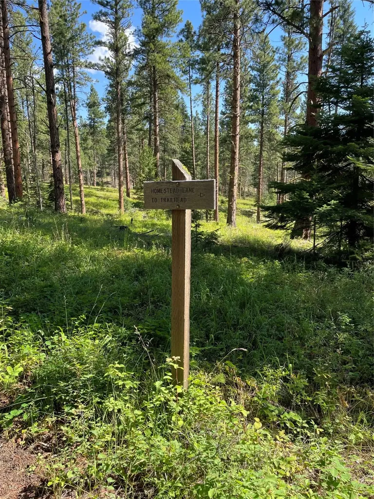 560 Hayes Creek Road Hamilton MT 59840