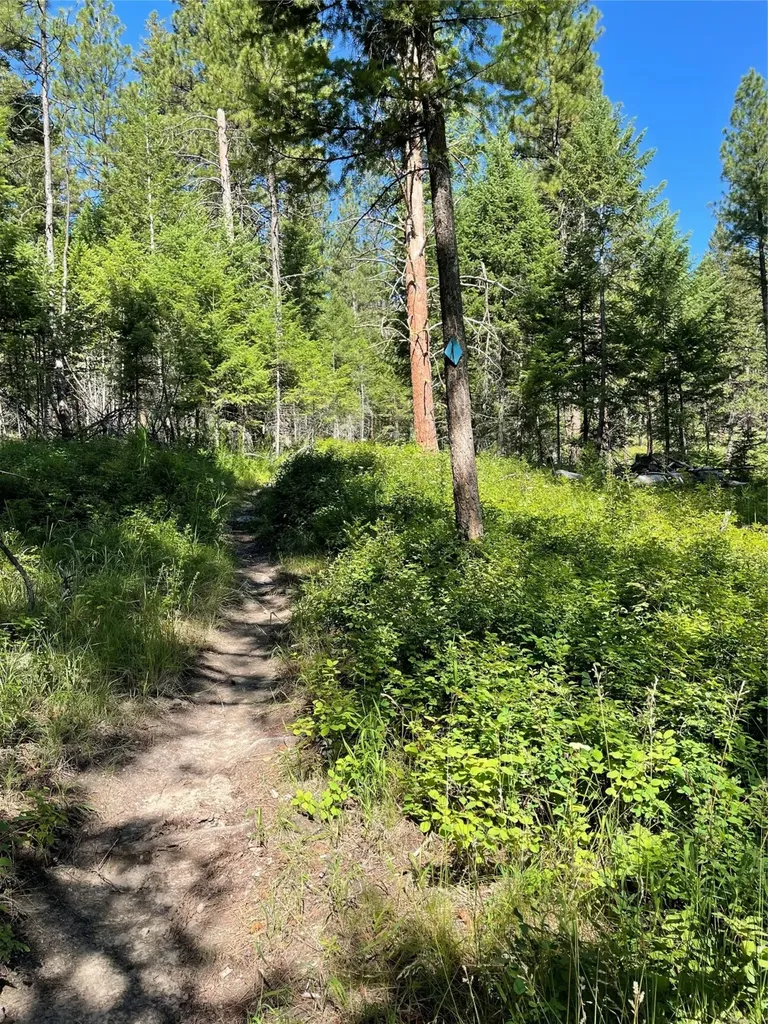 560 Hayes Creek Road Hamilton MT 59840