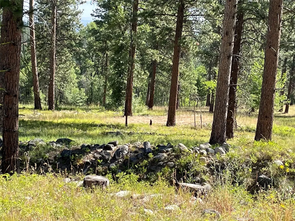 560 Hayes Creek Road Hamilton MT 59840