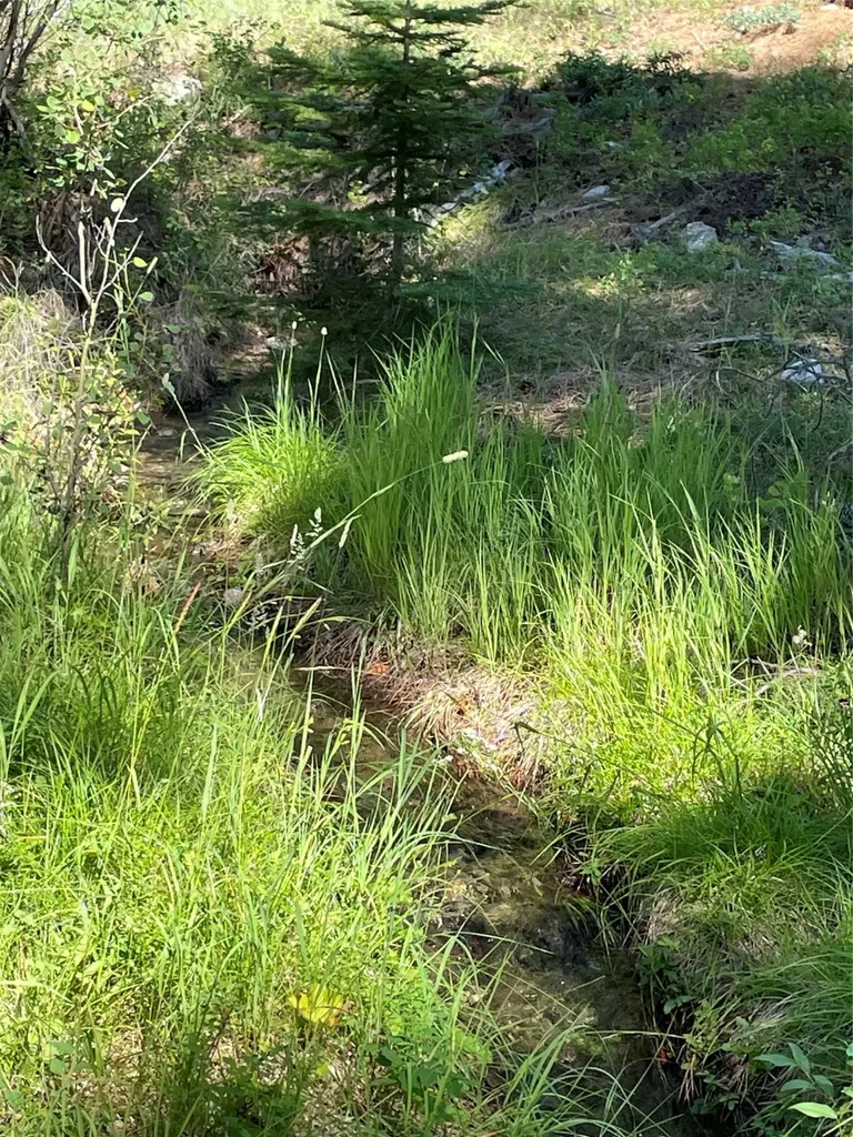 560 Hayes Creek Road Hamilton MT 59840