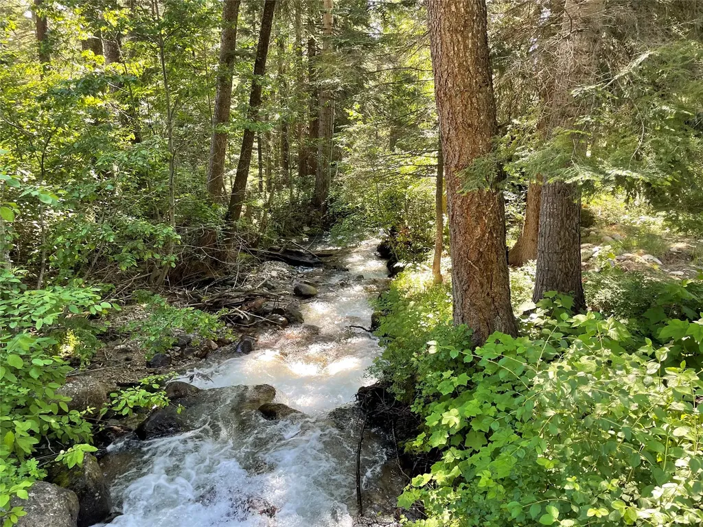 560 Hayes Creek Road Hamilton MT 59840