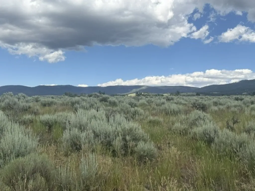 Lot 4 Bessie Lane Stevensville MT 59870