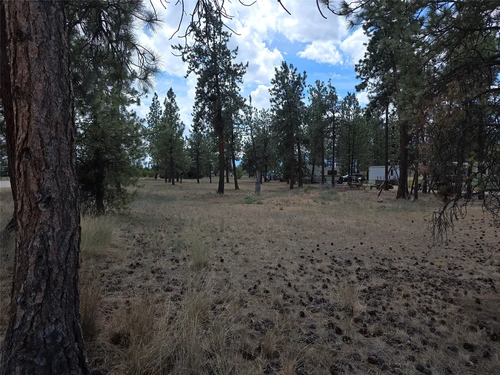 125 Pine Drive Victor MT 59875