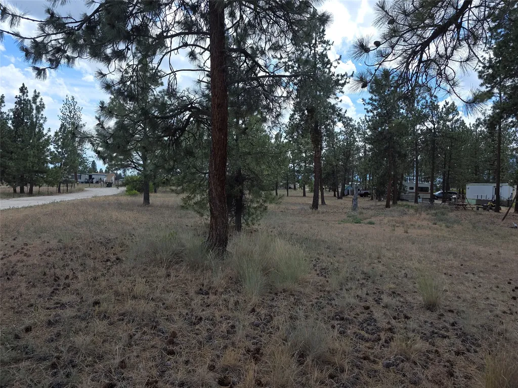 125 Pine Drive Victor MT 59875