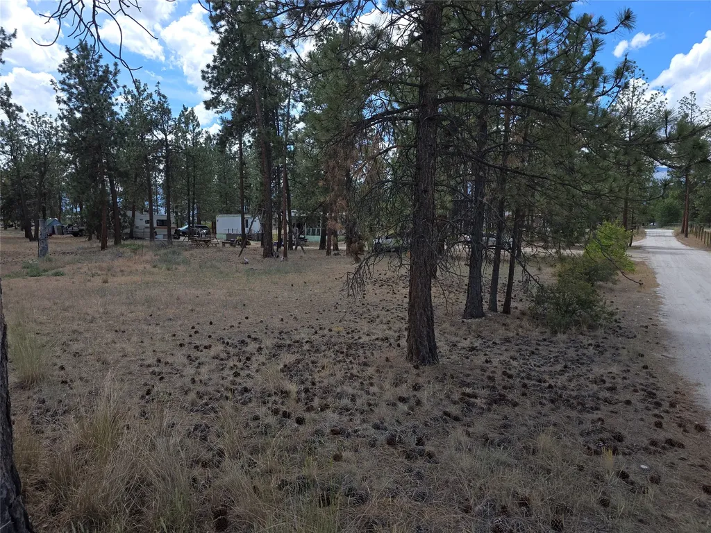 125 Pine Drive Victor MT 59875