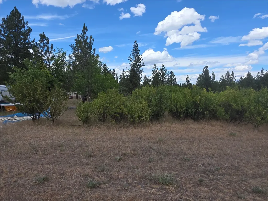 125 Pine Drive Victor MT 59875