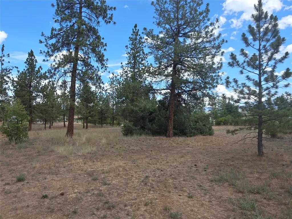 125 Pine Drive Victor MT 59875
