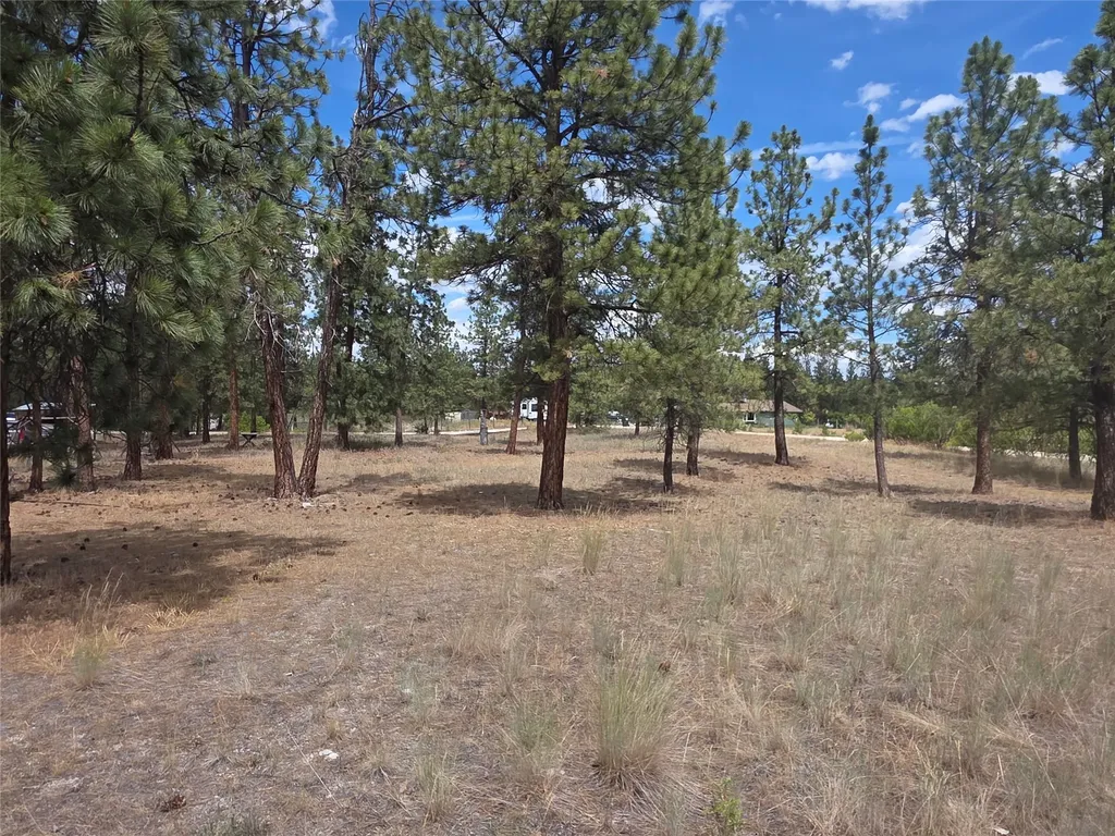 125 Pine Drive Victor MT 59875