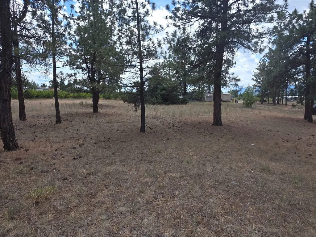 125 Pine Drive Victor MT 59875