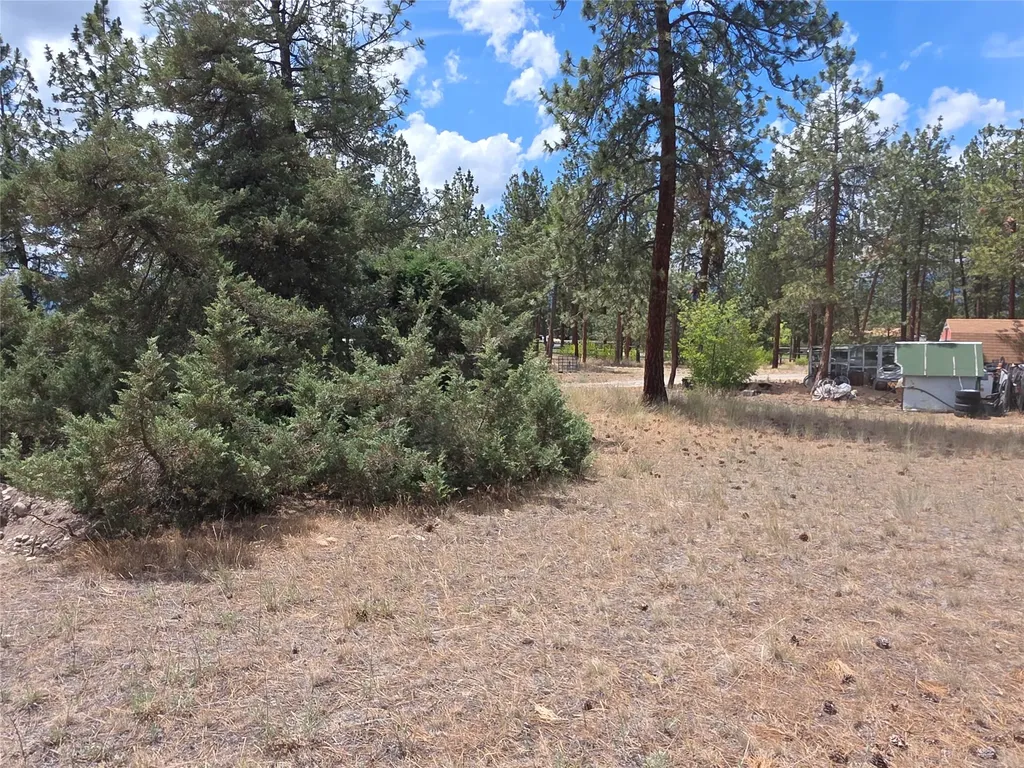 125 Pine Drive Victor MT 59875