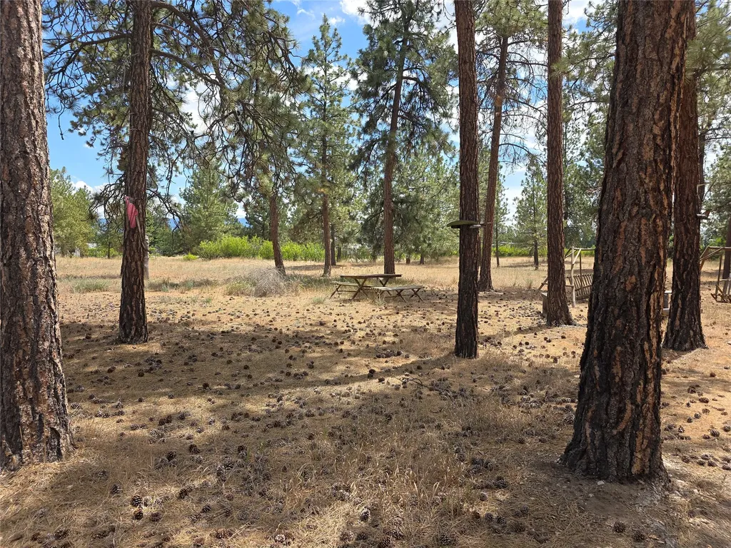 125 Pine Drive Victor MT 59875