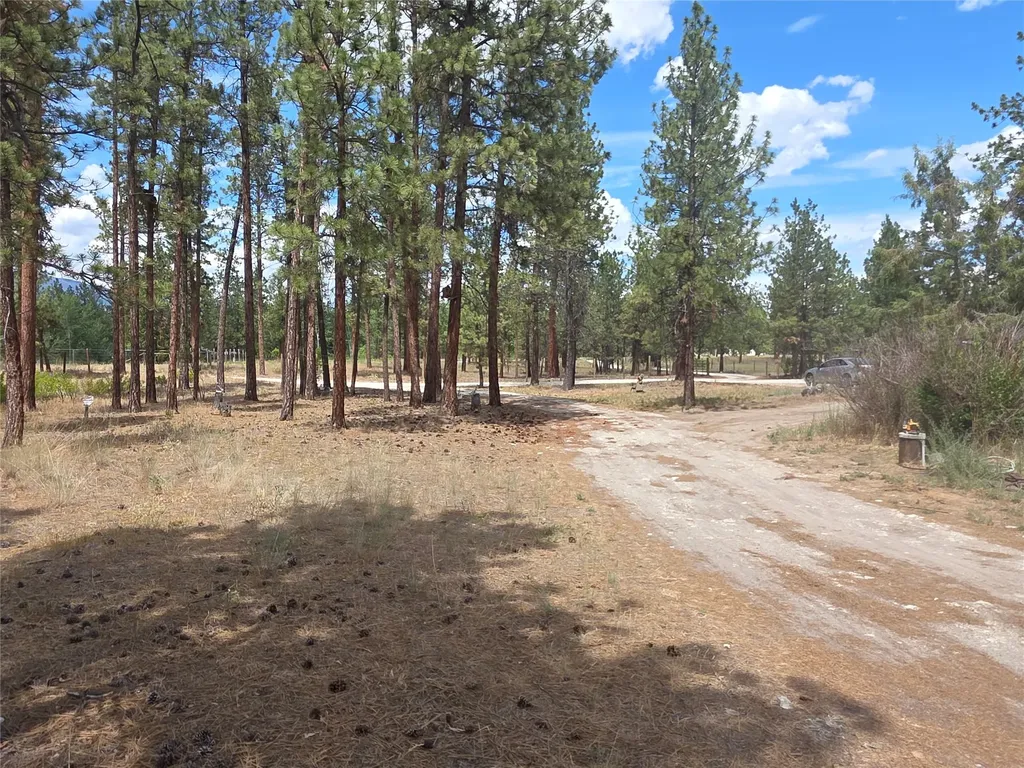 125 Pine Drive Victor MT 59875