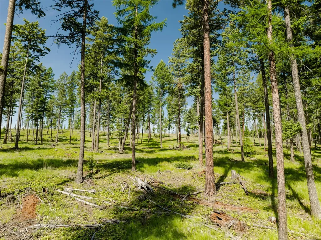 526 Northern Larch Trail Kalispell MT 59901
