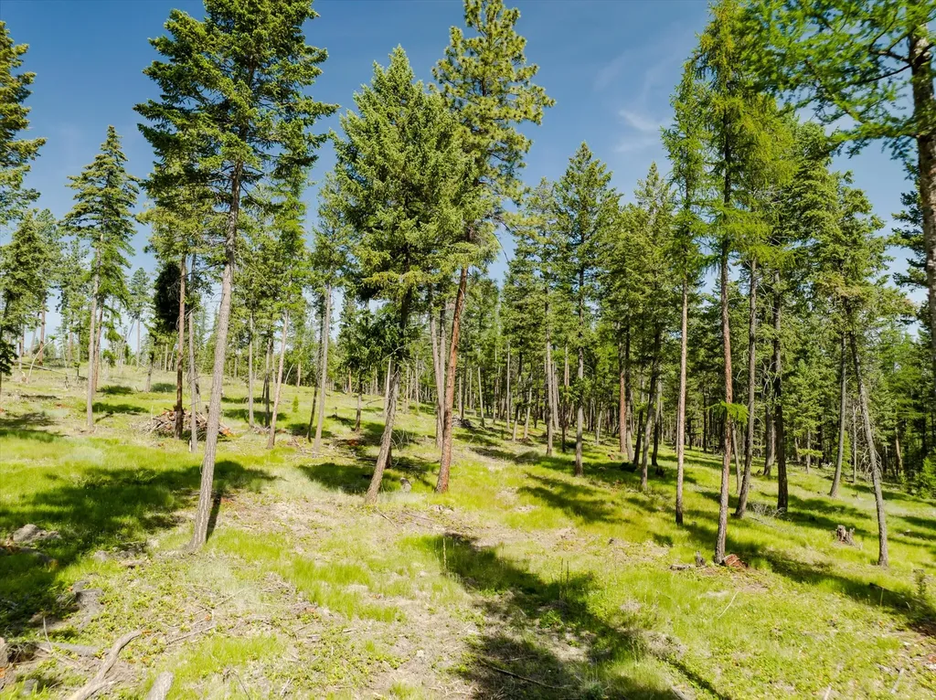 526 Northern Larch Trail Kalispell MT 59901