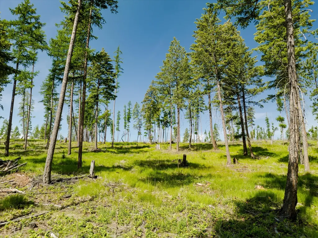 526 Northern Larch Trail Kalispell MT 59901