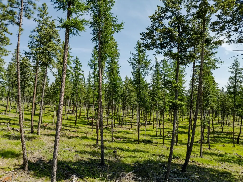526 Northern Larch Trail Kalispell MT 59901