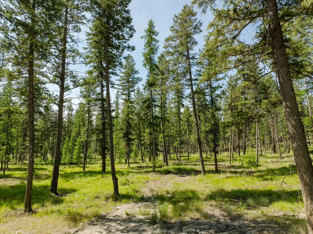 526 Northern Larch Trail Kalispell MT 59901