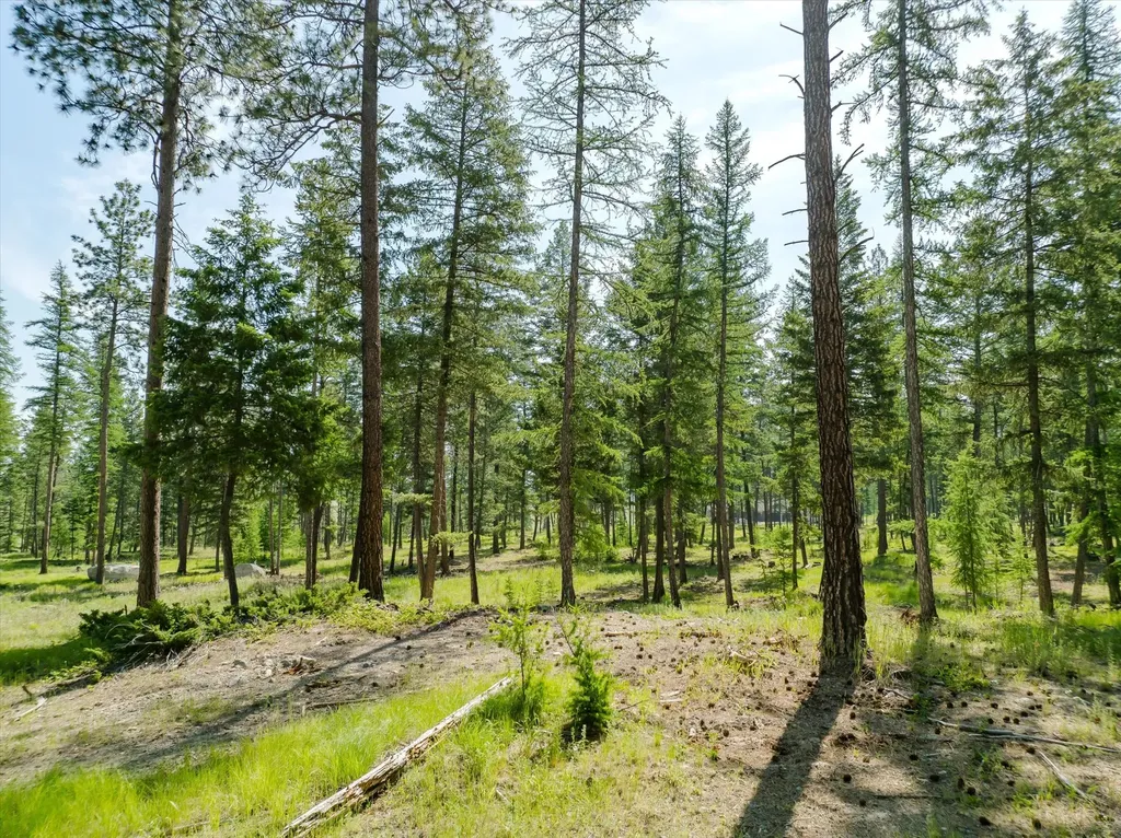 526 Northern Larch Trail Kalispell MT 59901