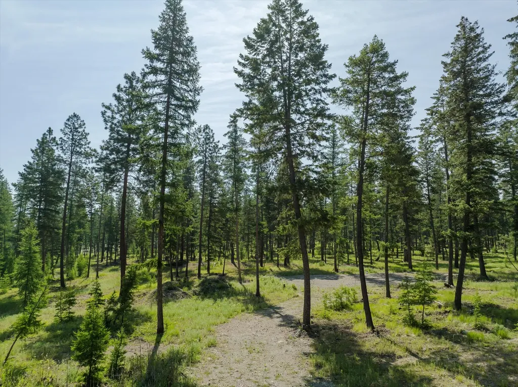 526 Northern Larch Trail Kalispell MT 59901