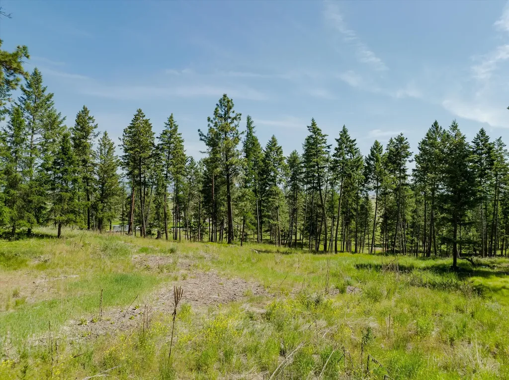 526 Northern Larch Trail Kalispell MT 59901