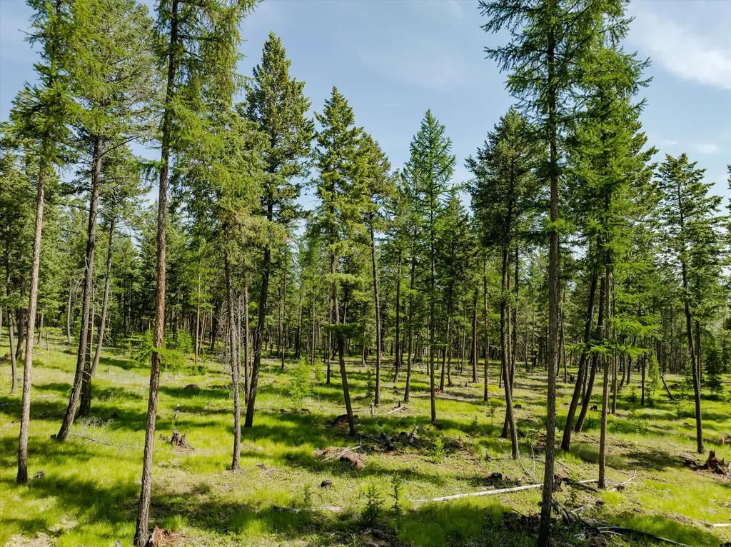 531 Northern Larch Trail Kalispell MT 59901