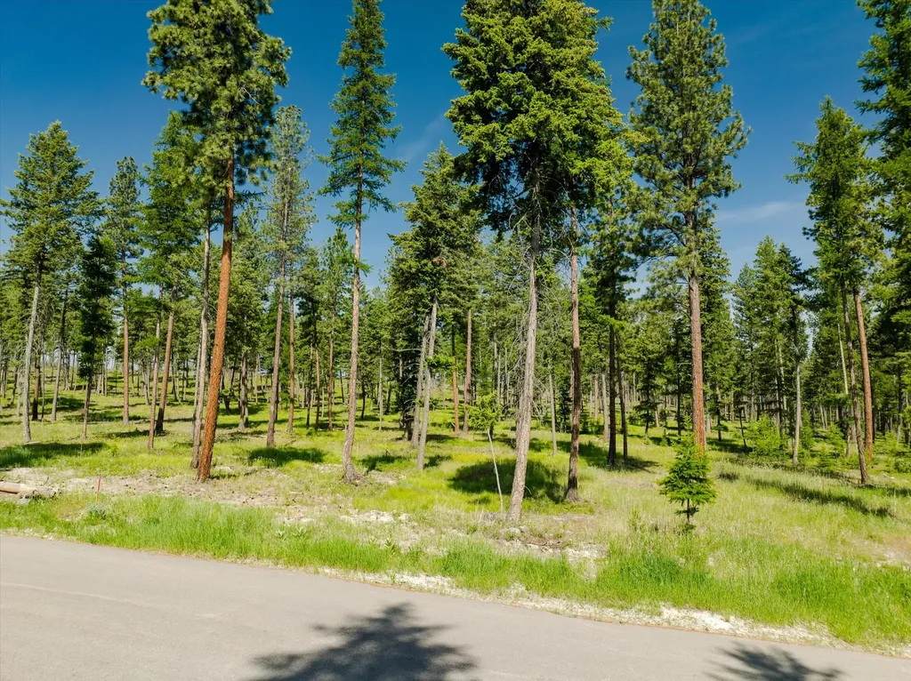 531 Northern Larch Trail Kalispell MT 59901