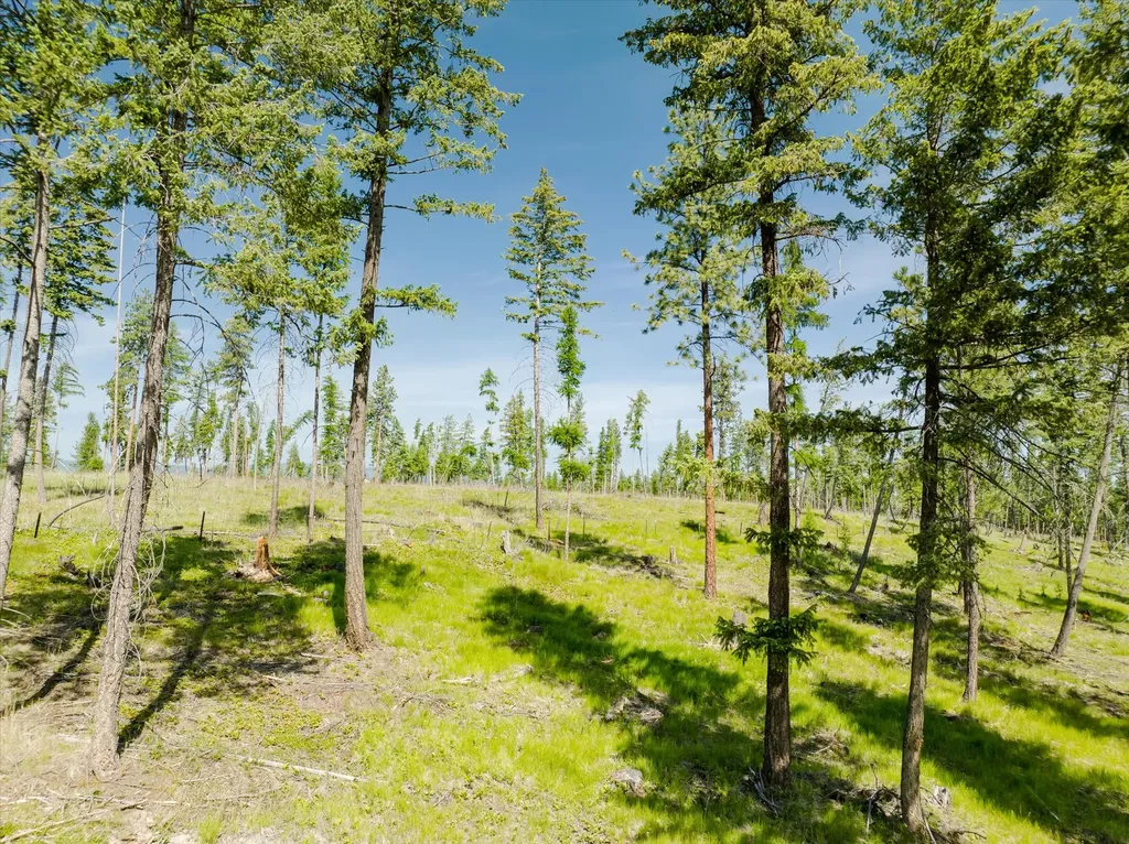 531 Northern Larch Trail Kalispell MT 59901