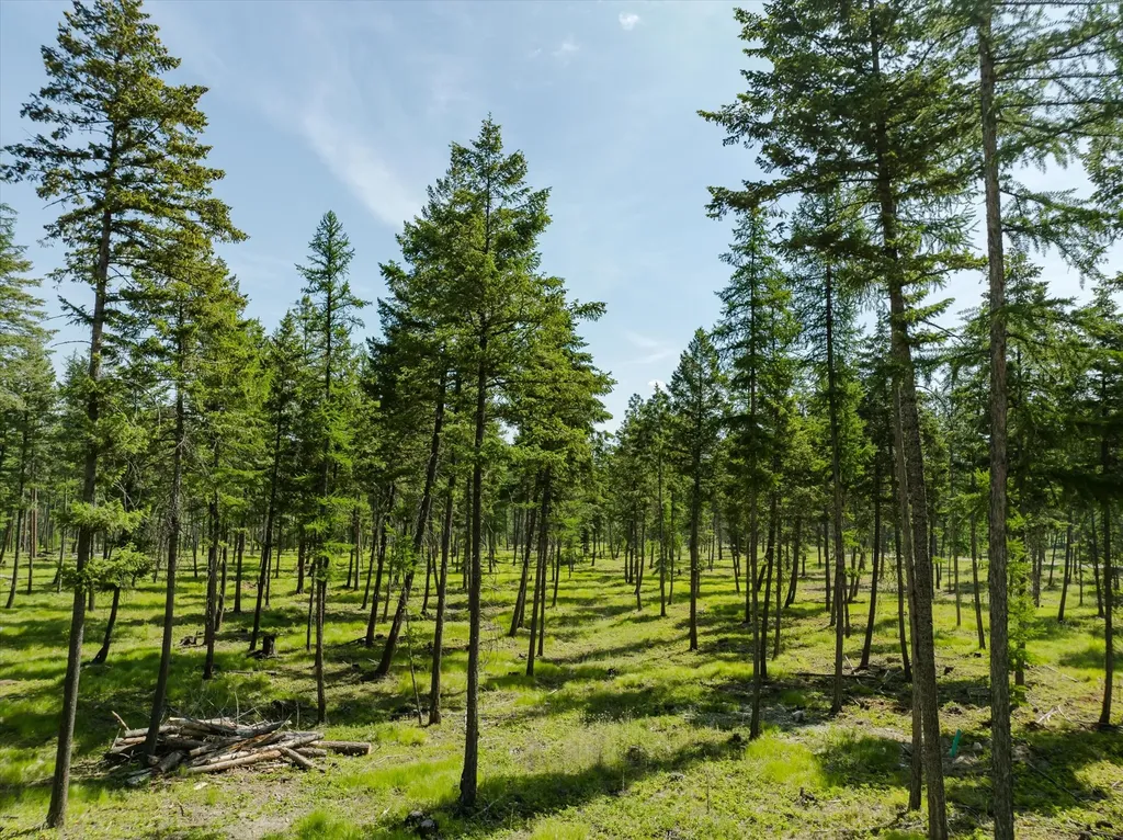531 Northern Larch Trail Kalispell MT 59901