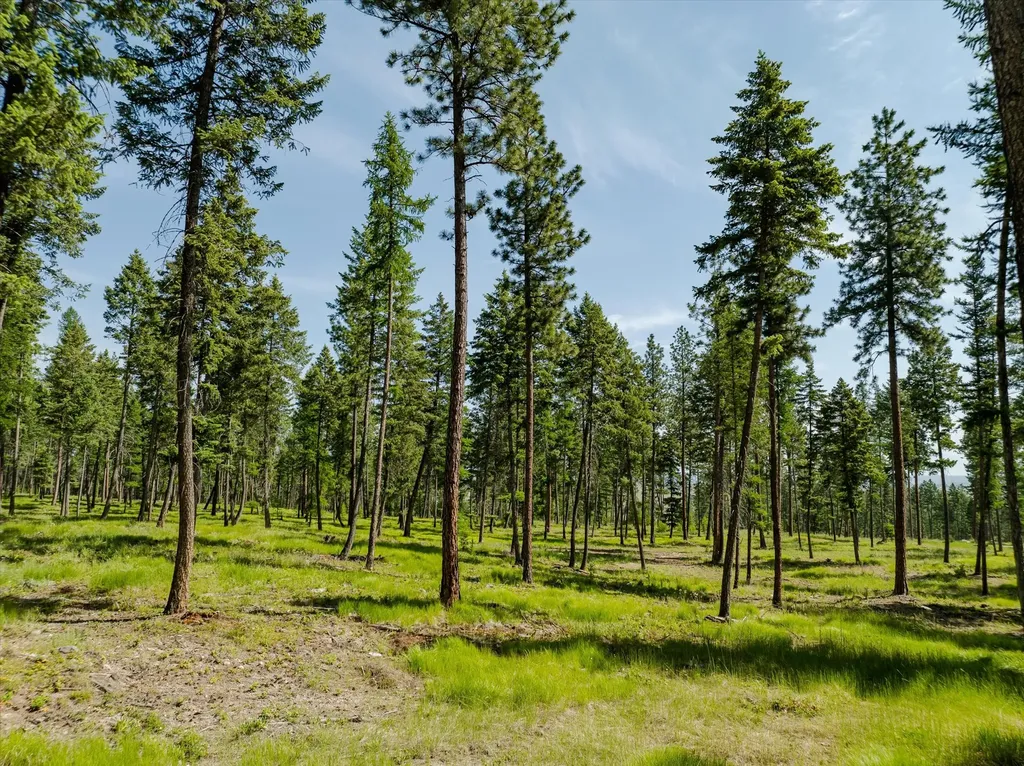 531 Northern Larch Trail Kalispell MT 59901