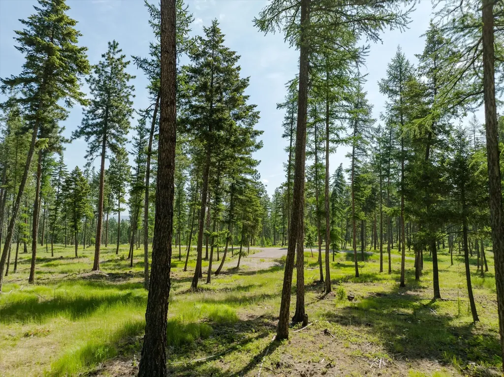 531 Northern Larch Trail Kalispell MT 59901