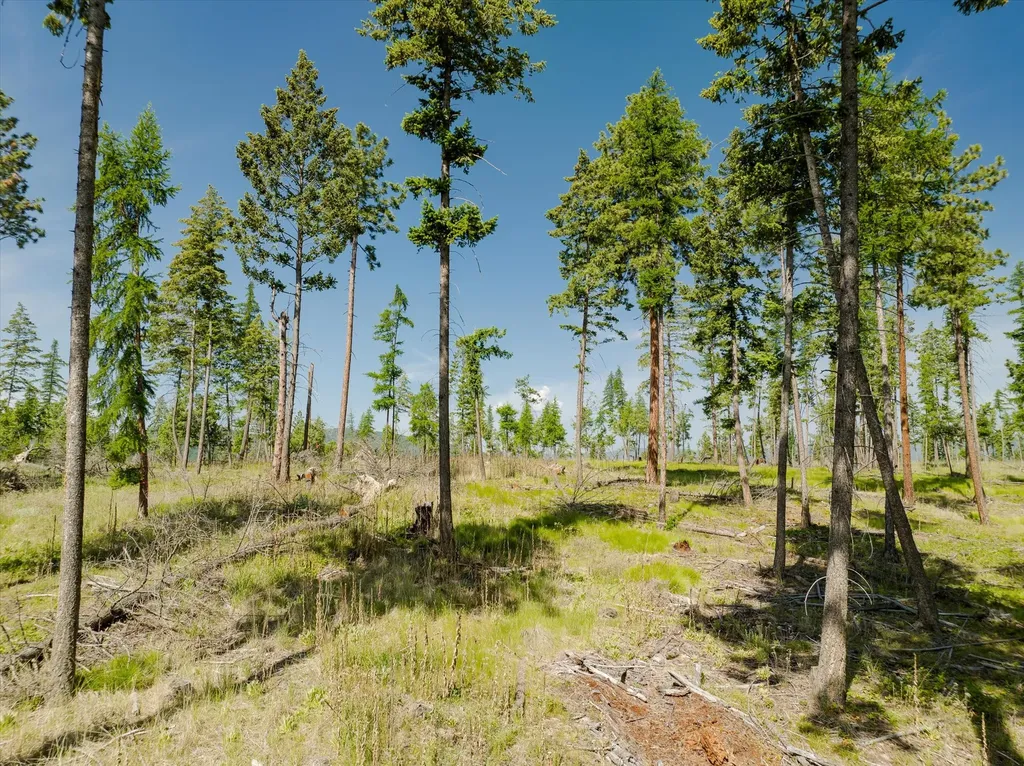531 Northern Larch Trail Kalispell MT 59901
