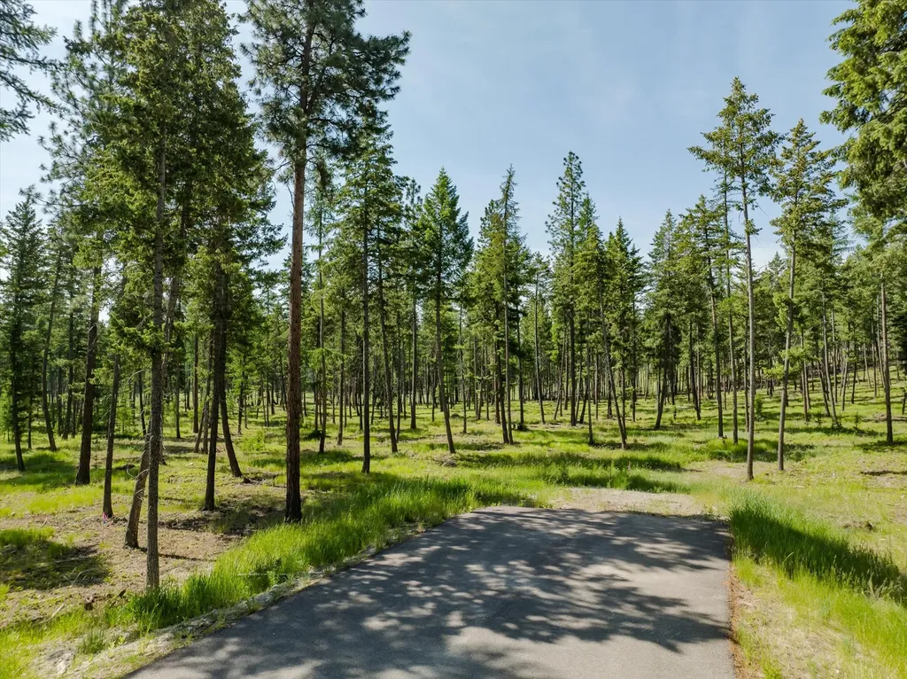 531 Northern Larch Trail Kalispell MT 59901