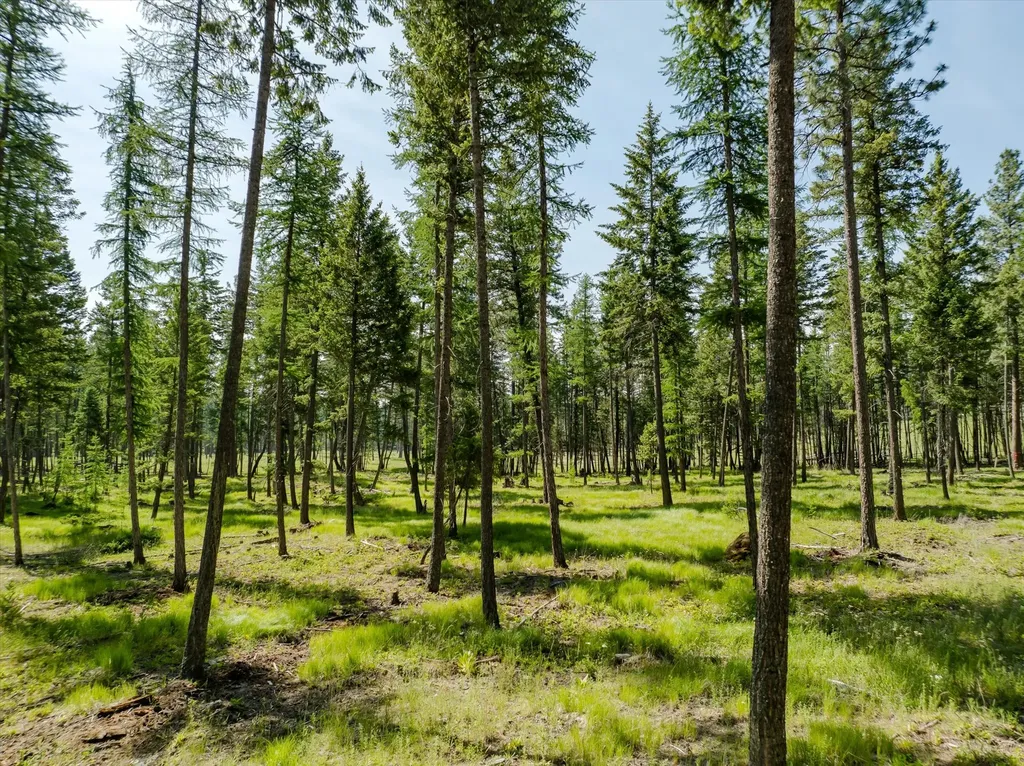 531 Northern Larch Trail Kalispell MT 59901