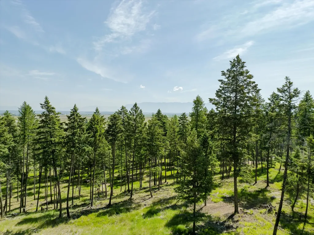 531 Northern Larch Trail Kalispell MT 59901