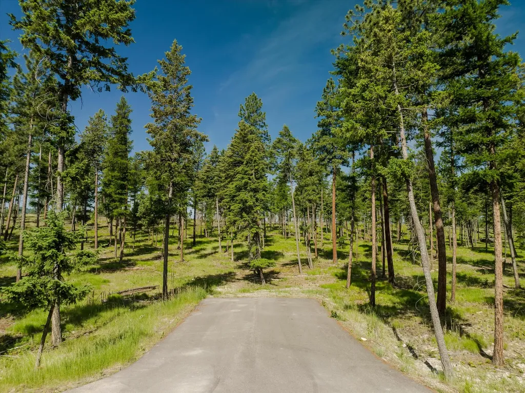 531 Northern Larch Trail Kalispell MT 59901