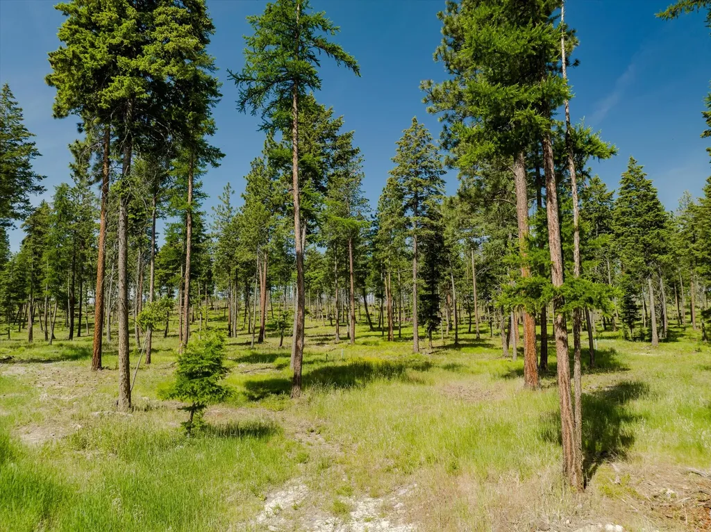 523 Northern Larch Trail Kalispell MT 59901